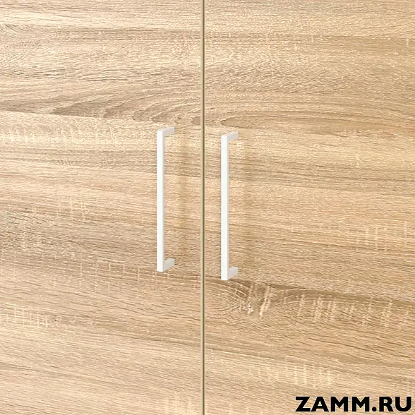 Шкаф ZAMM распашной 2 полки, 2 двери. На регулируемых опорах 900 (Ш:900, Г:414, В:747) 